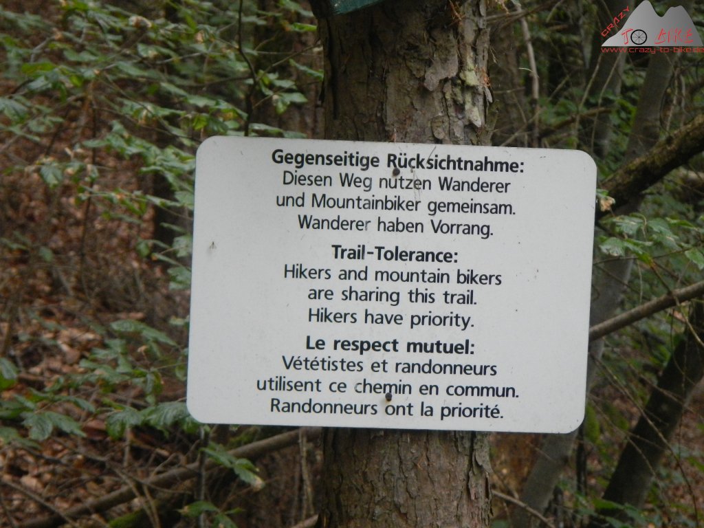 Trailbiken im Dahner Felsenland... es geht auch ohne 2-Meter-Regel - 09. bis 14.06.2022