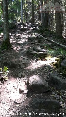 Trailbiken Schwarzwald: Badish Moon Rising, Kybfelsen, Canadian und Borderline