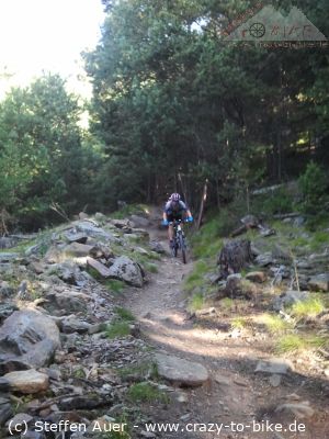 Trailbiken Vinschgau: Der Montesole-Trail am Sonnenberg