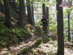 dav_pfalz_dahner_felsenland_2023_055