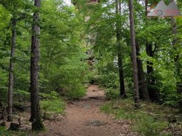 dav_pfalz_dahner_felsenland_2023_102