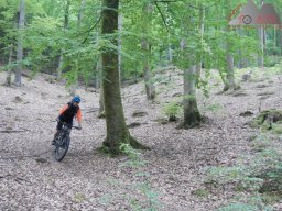 dav_pfalz_dahner_felsenland_2023_119