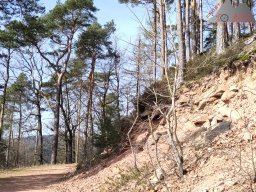 ostern_2024_pfalz_016