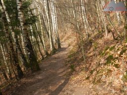 Trailbiken in der Pfalz (Ostern 2024)