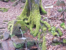ostern_2024_pfalz_112