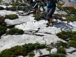 2020-07-05_dav_flims_segnesboeden_077