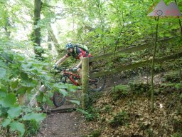 2021-06-12_dav_rheintrails_29