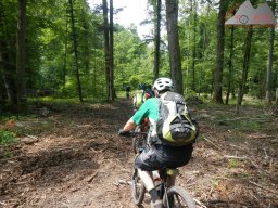 2021-06-12_dav_rheintrails_33