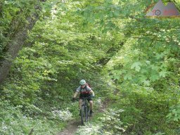 Hochrheintrails (04.05.2024)