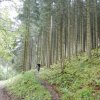 RSG-WE_Baiersbronn_2019_082