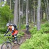 RSG-WE_Baiersbronn_2019_127
