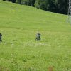 DAV-WE_Alpsee_009