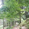 DAV-WE_Alpsee_031