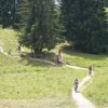 DAV-WE_Alpsee_056