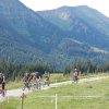 DAV-WE_Alpsee_089