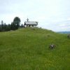 DAV-WE_Alpsee_130