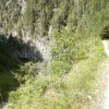 Flims_und_Davos_2017_032