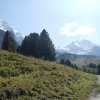 Grindelwald_2017_039