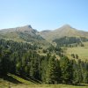 Grindelwald_2017_042