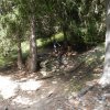 Reschen 2016 084