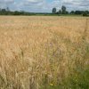 Pfingsturlaub 2014 050