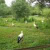 Pfingsturlaub 2012 344