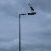 Sommerurlaub 2010 0895