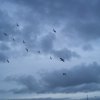Sommerurlaub 2010 1167