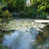 438 Pfingsturlaub 2010 (Gardasee)