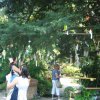460 Pfingsturlaub 2010 (Gardasee)