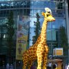 Deutschland 2009 0748