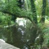 Deutschland 2009 1136