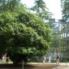 Deutschland 2009 1614