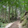 Deutschland 2009 1711