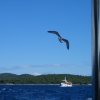 Kroatien 2005 383