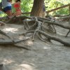 Kroatien 2005 460