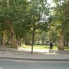 Kroatien 2005 728